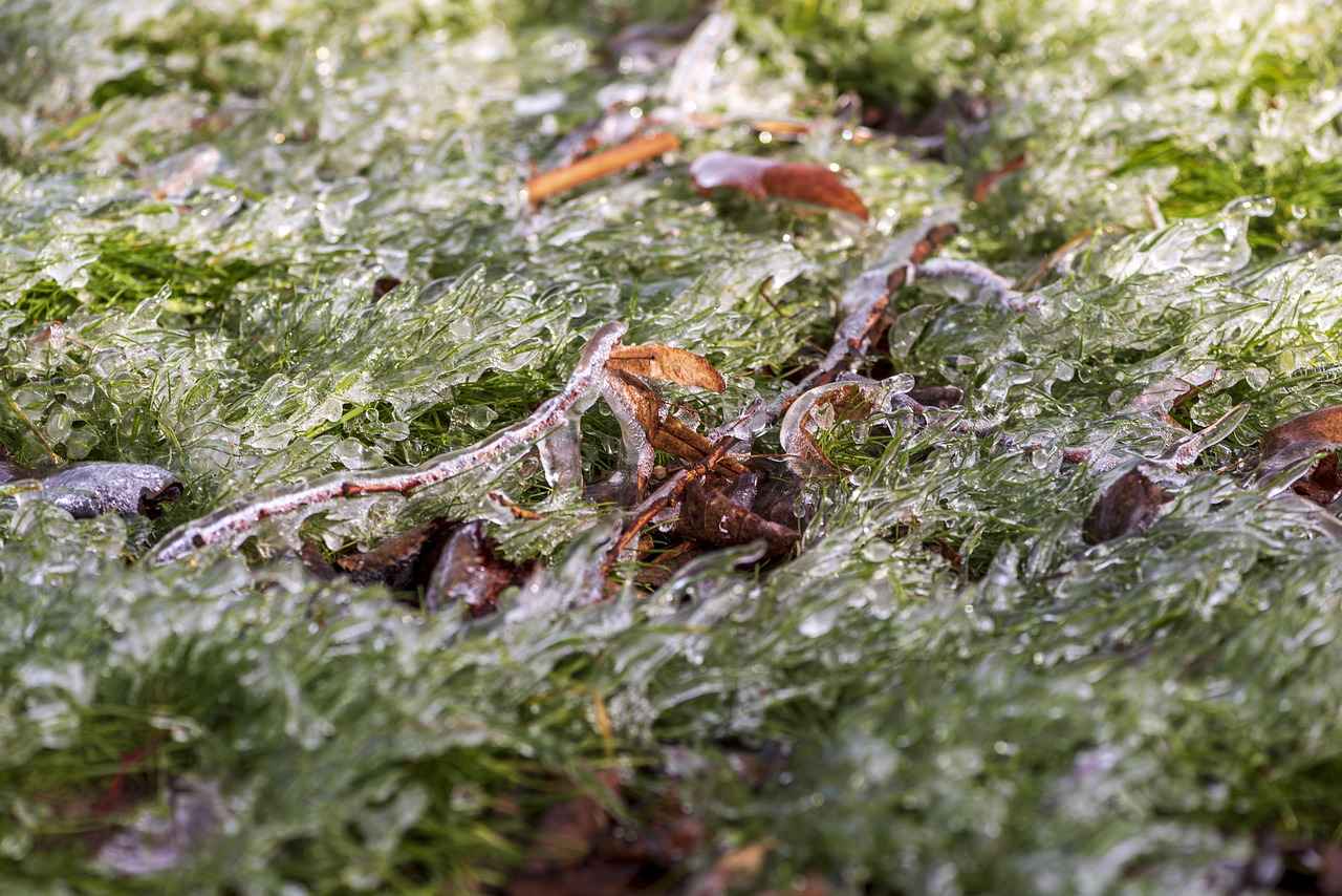 Sonuç: En İyi Fiyat-Performans Elektrikli Bisikletleri Seçin