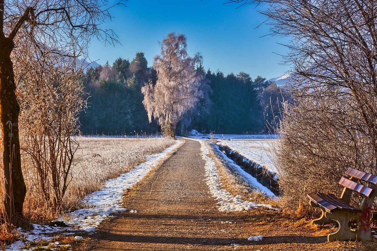 En Popüler Elektrikli Bisiklet Modelleri