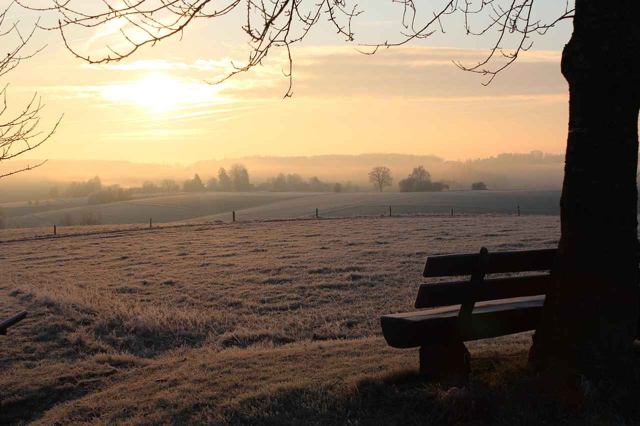 Sonuç: Hangi Elektrikli Bisiklet Sizin İçin Uygun?