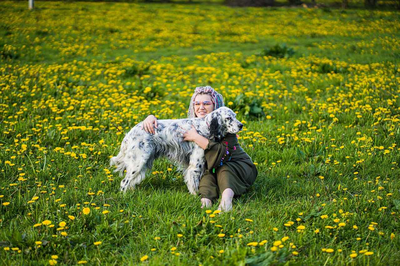 Bim Elektrikli Bisiklet Gerçekten Alınır Mı? İnceleme