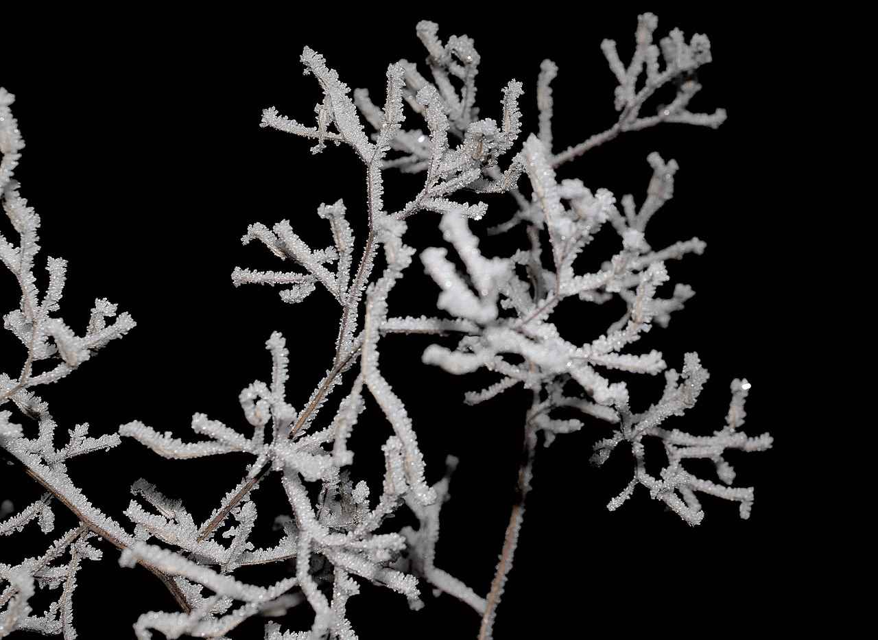 4. Batarya Süresi ve Şarj Süresi