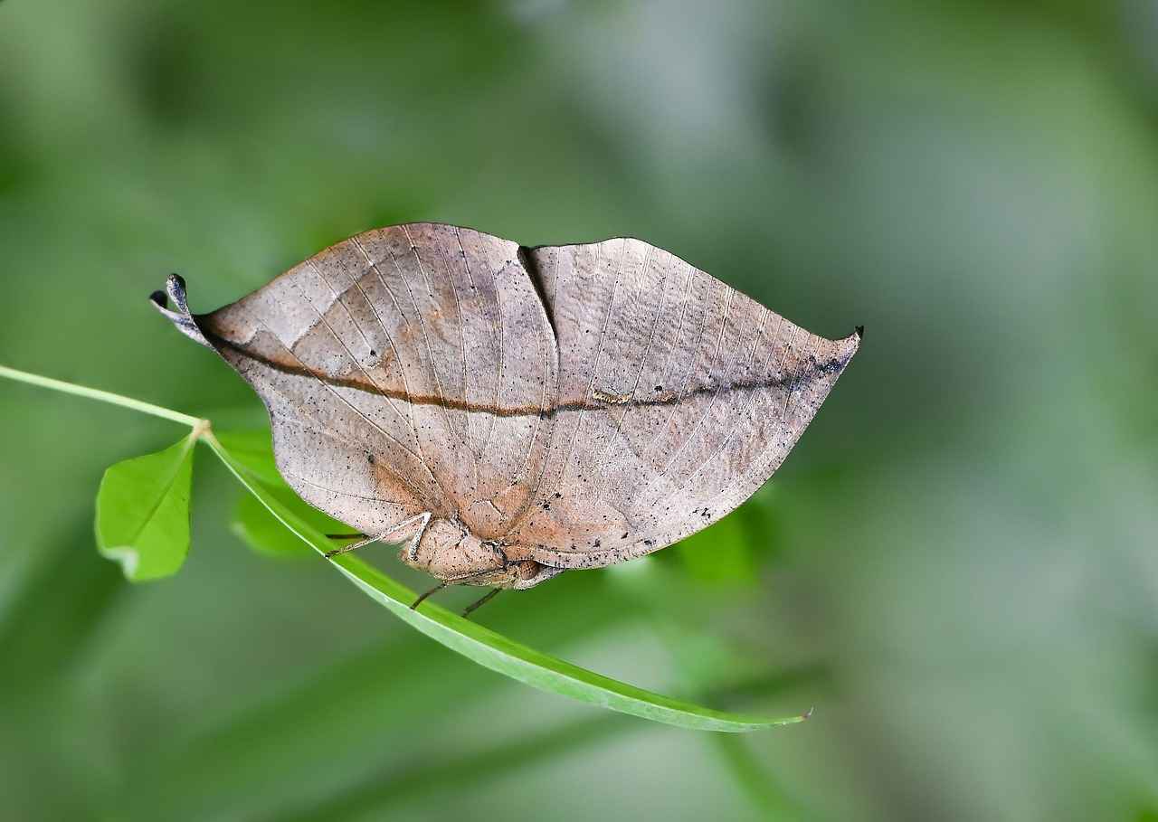 Uzun Mesafe Sürüşleri