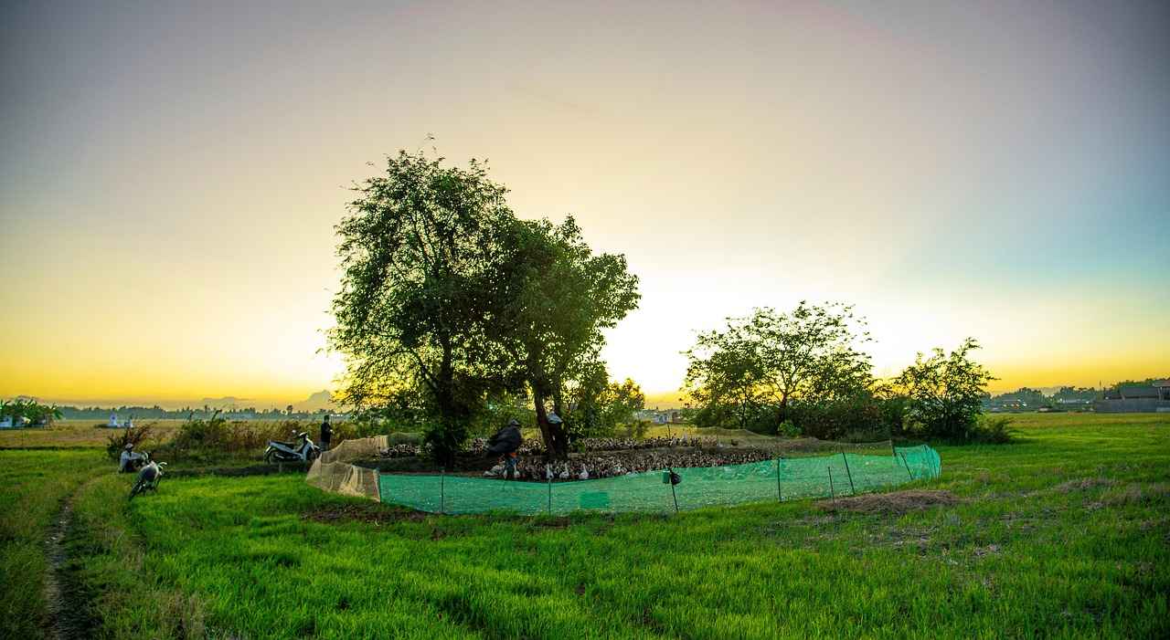 Jant Genişliğinin Önemi