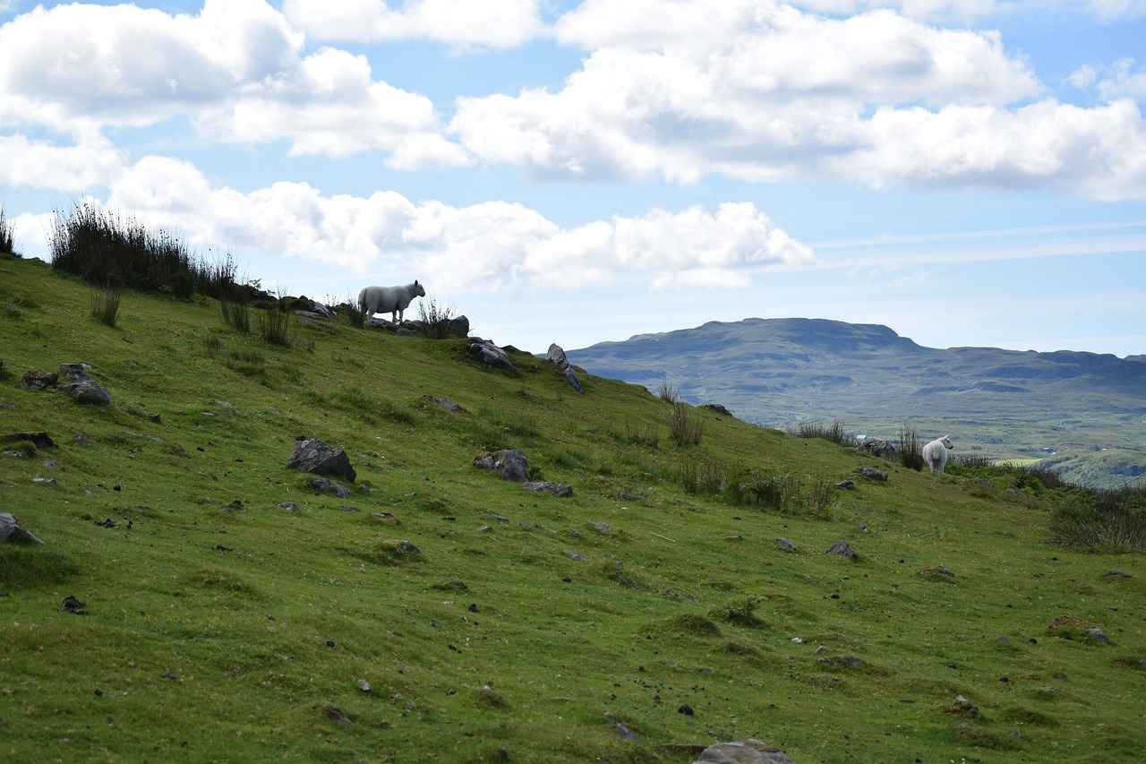 Elektrikli Motosiklet Nedir?