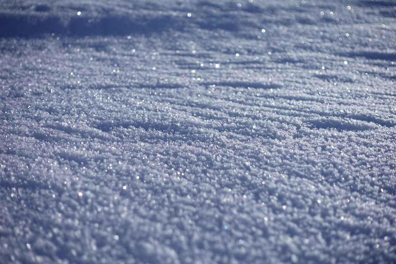 Salcano Elektrikli Bisiklet Modelleri