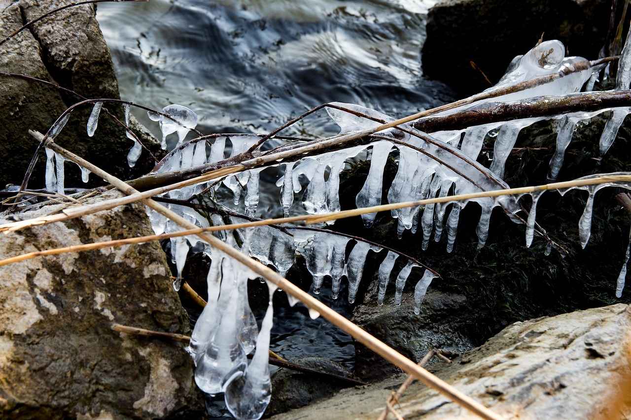 Kullanıcı Yorumları