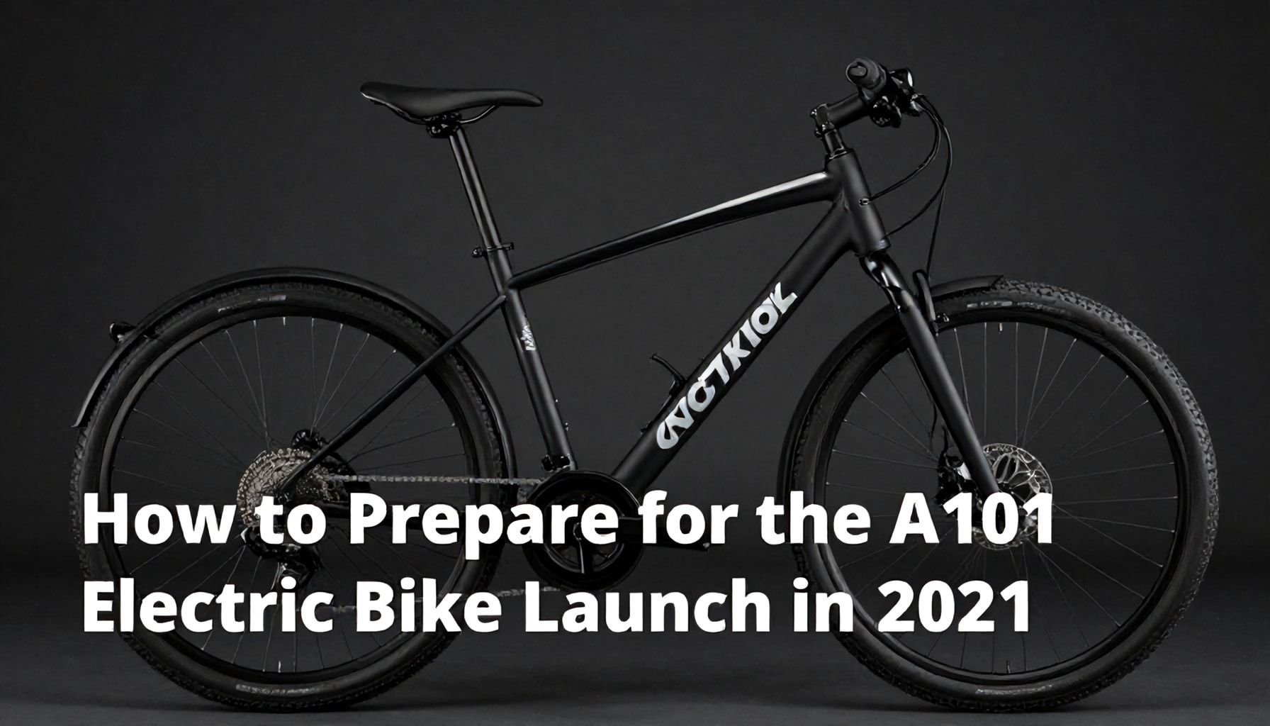 How to Prepare for the A101 Electric Bike Launch in 2021*